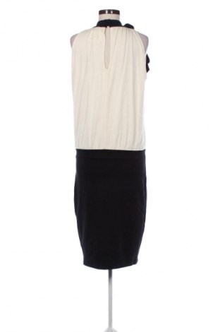 Kleid Juffrouw Jansen, Größe L, Farbe Mehrfarbig, Preis € 28,99