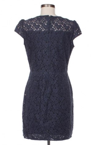 Kleid Massimo Dutti, Größe L, Farbe Blau, Preis € 50,99