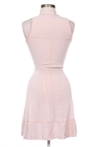 Kleid Nikkie, Größe XXS, Farbe Mehrfarbig, Preis 27,99 €