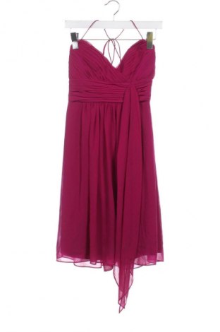 Kleid Ralph Lauren, Größe XS, Farbe Rosa, Preis 98,16 €