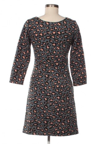 Kleid Steps, Größe XS, Farbe Mehrfarbig, Preis € 11,99