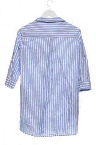 Kleid Zara, Größe XS, Farbe Mehrfarbig, Preis 17,30 €