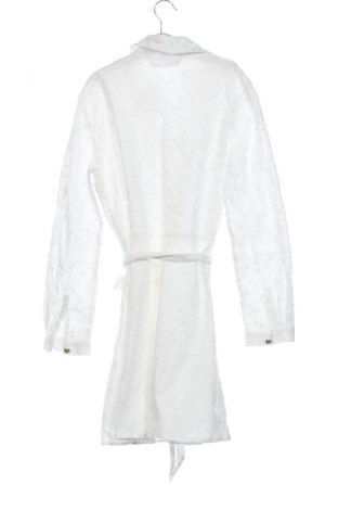 Kleid Zara, Größe XS, Farbe Mehrfarbig, Preis 17,39 €