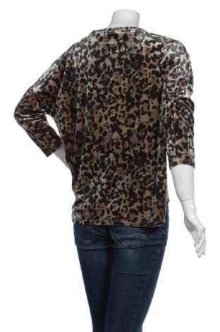 Γυναικεία μπλούζα VRS, Μέγεθος S, Χρώμα Πολύχρωμο, Τιμή 20,13 €