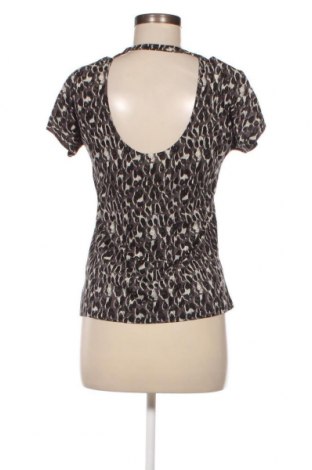 Γυναικεία μπλούζα AllBirds, Μέγεθος M, Χρώμα Πολύχρωμο, Τιμή 52,58 €