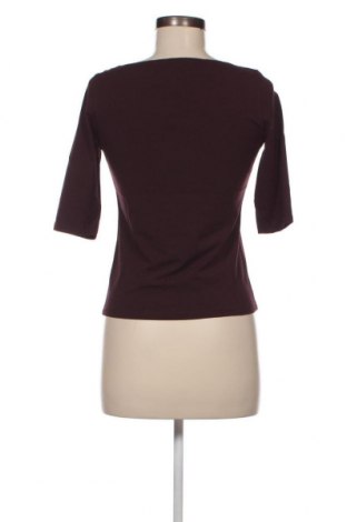 Γυναικεία μπλούζα Armand Ventilo, Μέγεθος S, Χρώμα Καφέ, Τιμή 37,11 €