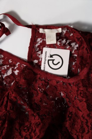 Damen Shirt H&M, Größe XS, Farbe Rot, Preis 15,35 €