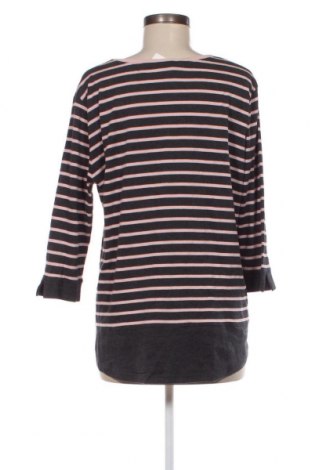 Γυναικεία μπλούζα Zamba, Μέγεθος S, Χρώμα Πολύχρωμο, Τιμή 1,61 €