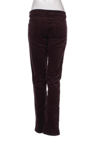 Pantaloni de velvet de femei Blue Motion, Mărime M, Culoare Mov, Preț 14,31 Lei