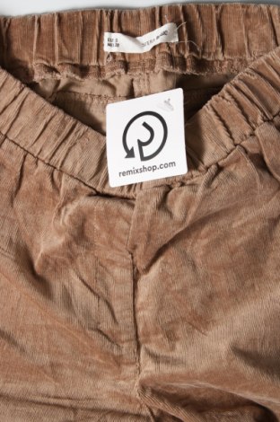 Pantaloni de velvet de femei Sfera, Mărime S, Culoare Maro, Preț 12,40 Lei