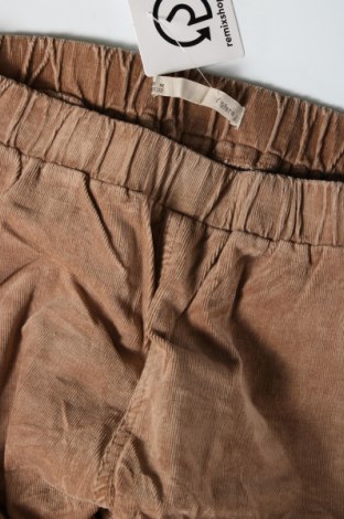 Γυναικείο κοτλέ παντελόνι Sfera, Μέγεθος M, Χρώμα Καφέ, Τιμή 2,51 €