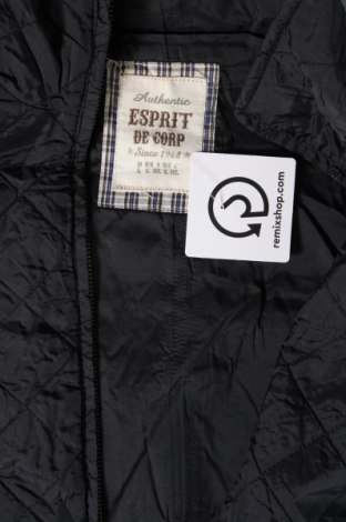 Дамски елек Esprit de Corp, Размер L, Цвят Черен, Цена 27,00 лв.
