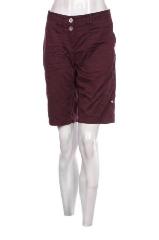 Γυναικείο κοντό παντελόνι Cecil, Μέγεθος M, Χρώμα Βιολετί, Τιμή 5,94 €