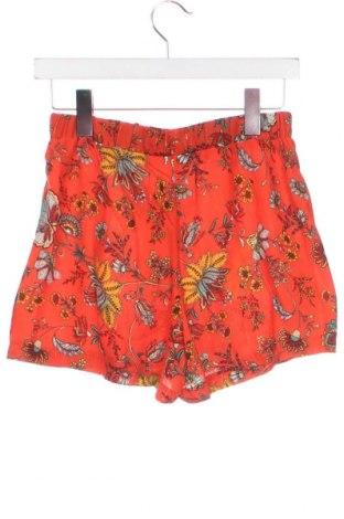 Damen Shorts Molly Bracken, Größe XS, Farbe Mehrfarbig, Preis € 3,71