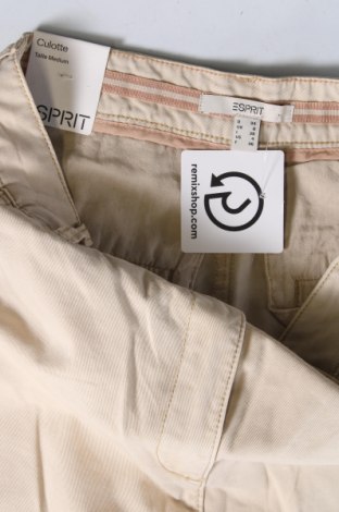 Dámske nohavice Esprit, Veľkosť XS, Farba Béžová, Cena  44,85 €