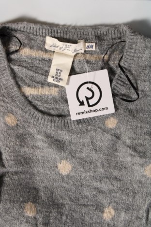 Γυναικείο πουλόβερ H&M L.O.G.G., Μέγεθος XS, Χρώμα Γκρί, Τιμή 2,33 €