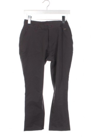 Дамски спортен панталон Trespass, Размер S, Цвят Сив, Цена 11,70 лв.