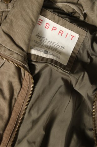 Γυναικείο μπουφάν Esprit, Μέγεθος M, Χρώμα Καφέ, Τιμή 4,55 €