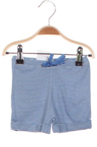 Детски къс панталон Noa Noa, Размер 3-6m/ 62-68 см, Цвят Син, Цена 8,85 лв.