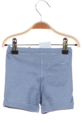 Детски къс панталон Noa Noa, Размер 3-6m/ 62-68 см, Цвят Син, Цена 59,00 лв.