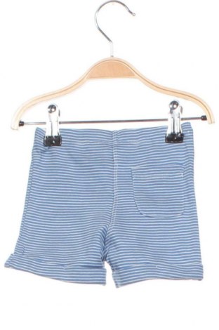 Παιδικό κοντό παντελόνι Noa Noa, Μέγεθος 0-1m/ 50 εκ., Χρώμα Μπλέ, Τιμή 13,14 €