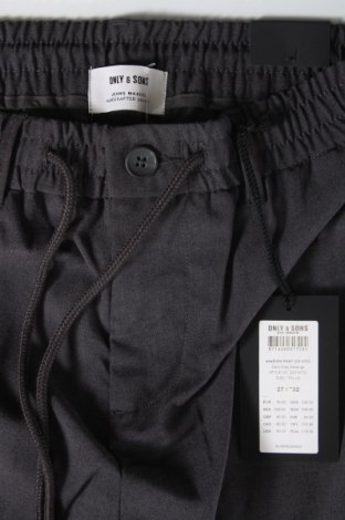 Ανδρικό παντελόνι Only & Sons, Μέγεθος S, Χρώμα Γκρί, Τιμή 5,45 €