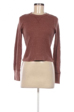 Damen Shirt, Größe M, Farbe Braun, Preis 4,99 €