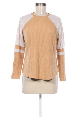 Damen Shirt American Eagle, Größe S, Farbe Beige, Preis € 3,99