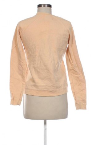 Damen Shirt Anecdote, Größe XS, Farbe Beige, Preis 13,99 €