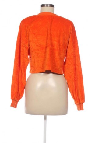 Damen Shirt Bershka, Größe S, Farbe Orange, Preis 13,49 €