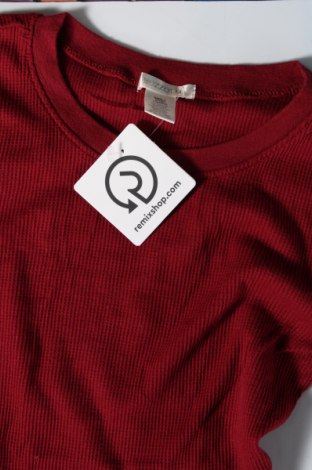 Damen Shirt Bozzolo, Größe S, Farbe Rot, Preis € 5,99