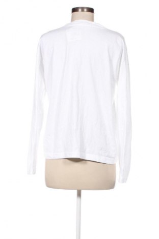 Damen Shirt Calvin Klein Jeans, Größe S, Farbe Weiß, Preis € 14,99