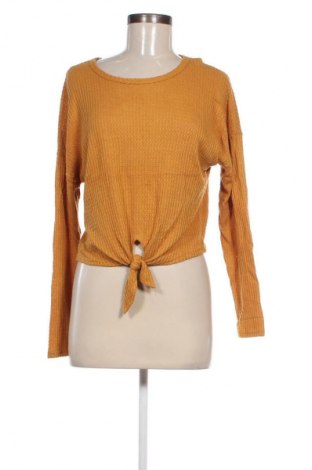 Damen Shirt Caution to the Wind, Größe S, Farbe Orange, Preis € 3,99