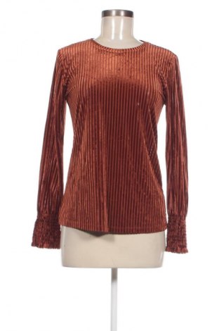 Damen Shirt Costes, Größe M, Farbe Braun, Preis € 23,99