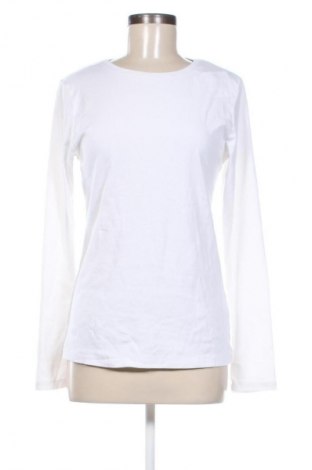 Damen Shirt Ellen Tracy, Größe L, Farbe Weiß, Preis 6,49 €