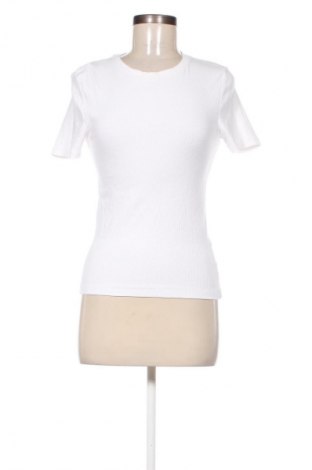 Damen Shirt FSBN Sister, Größe L, Farbe Weiß, Preis € 9,72