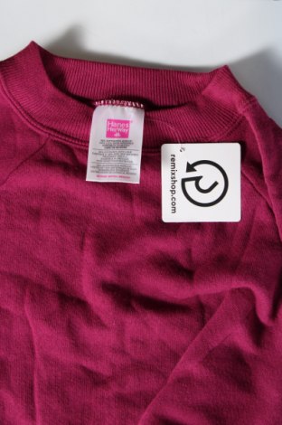 Damen Shirt Hanes, Größe M, Farbe Rosa, Preis € 3,99