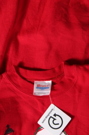 Damen Shirt Hanes, Größe XL, Farbe Rot, Preis € 13,49