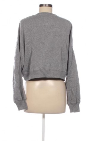 Damen Shirt Hollister, Größe S, Farbe Grau, Preis € 6,49