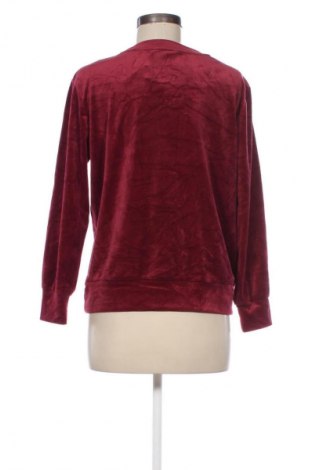 Damen Shirt Hunkemoller, Größe XS, Farbe Rot, Preis € 23,99