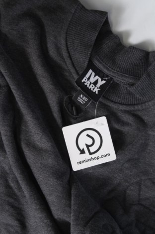 Дамска блуза Ivy Park, Размер XXS, Цвят Сив, Цена 19,99 лв.