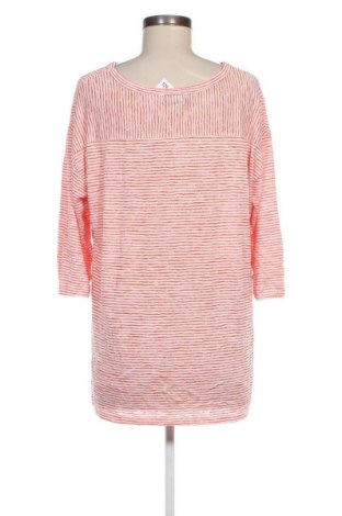 Dámska blúza Lane Bryant, Veľkosť XL, Farba Viacfarebná, Cena  3,95 €