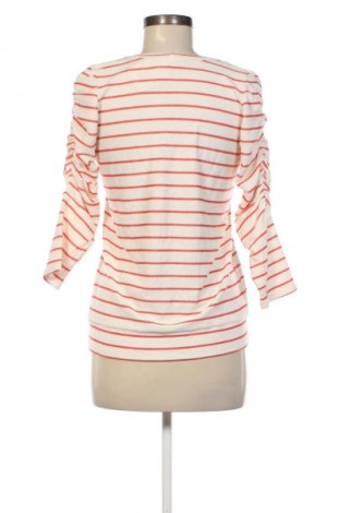 Damen Shirt Left Coast by Dolan, Größe S, Farbe Weiß, Preis € 17,49