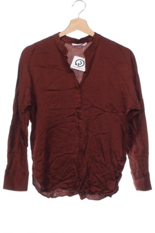 Damen Shirt Mango, Größe XS, Farbe Braun, Preis € 8,49