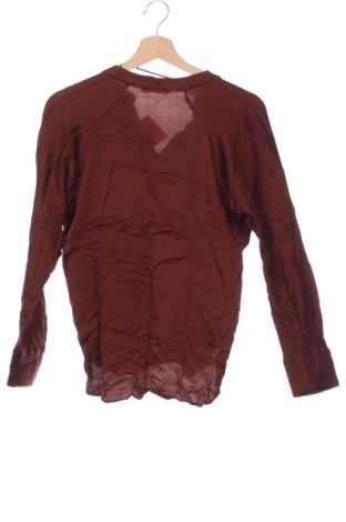 Damen Shirt Mango, Größe XS, Farbe Braun, Preis € 6,99