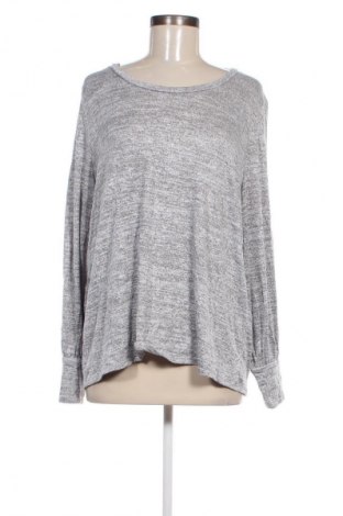 Damen Shirt Market&Spruce, Größe XL, Farbe Grau, Preis 4,99 €