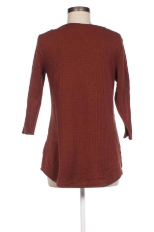 Damen Shirt Sonoma, Größe S, Farbe Braun, Preis € 2,99