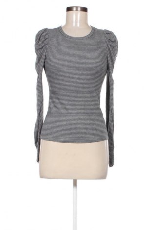 Damen Shirt Splendid, Größe XS, Farbe Grau, Preis 6,99 €