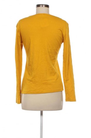 Damen Shirt Up 2 Fashion, Größe M, Farbe Orange, Preis € 5,99