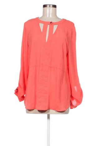 Damen Shirt Warehouse, Größe L, Farbe Orange, Preis € 12,49